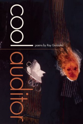 Cool Auditor by Ray Gonzales