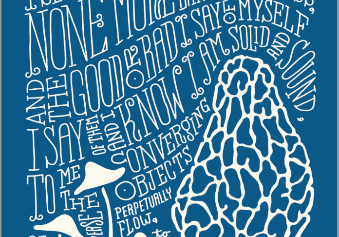 AmPo 56 Whitman Cover gray border